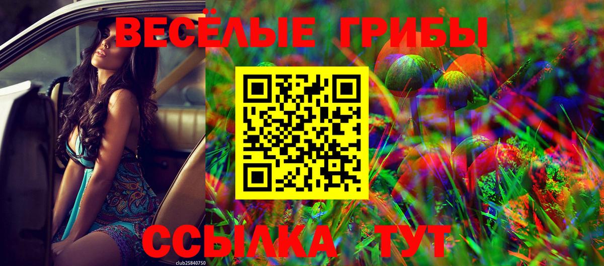 Галлюциногенные грибы ЛСД Лангепас